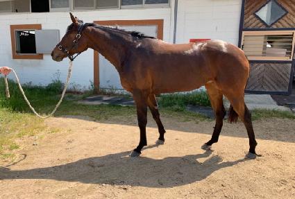 ä�͹ڽ� ����