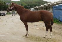 ���̸�ǻ�� (SIMON FURY) ����