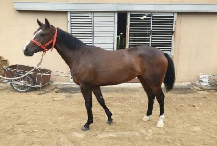 ��̰��� ����