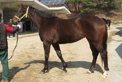 ŹƮ�� ����