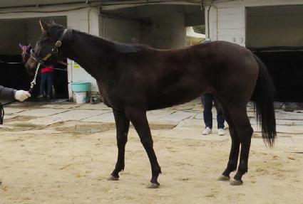 ��Ʈ��ִ� ����