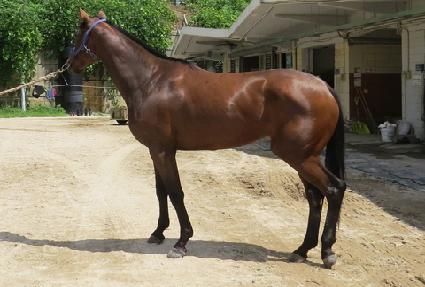 �����鸮 ����