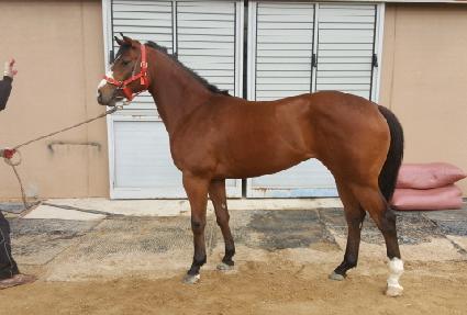 �ʽ��ְ� ����