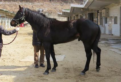 ť�ǵ���� ����