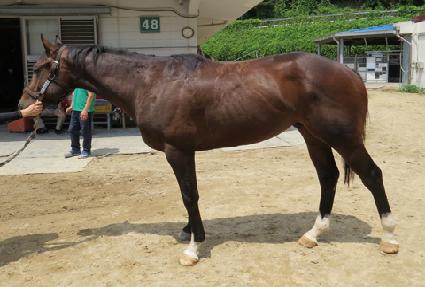 ����Ÿ�̰� ����