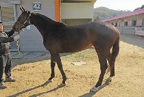 �þ���� (ALL AGAIN) ����