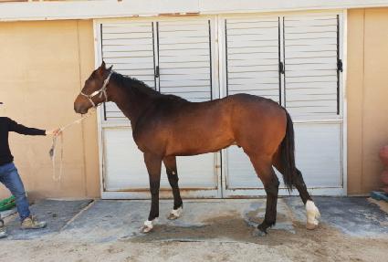 ������� ����