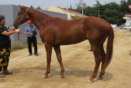 ȫ�� ����