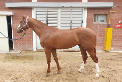 ��Ÿ��ƽ���� ����