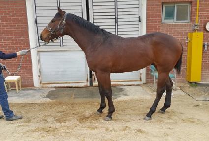 ��Ÿ��ƽ���� ����