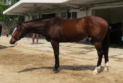 �ʵ����� ����