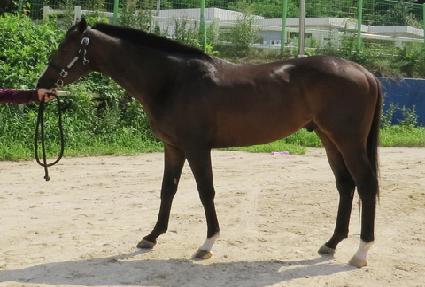 �����º� ����