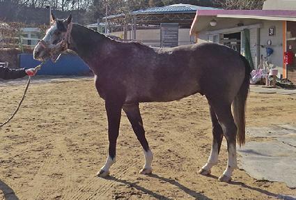 �峪���� ����