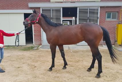 û�����̾� ����