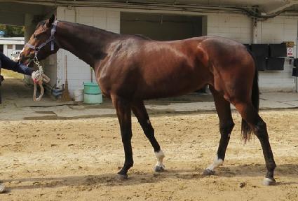 �ܵ������� ����