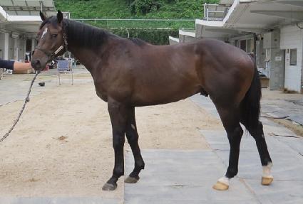 ���̾ƺ��� ����