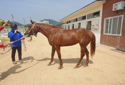 ���̴׾��� ����