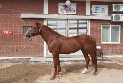 ��Ÿ���� ����