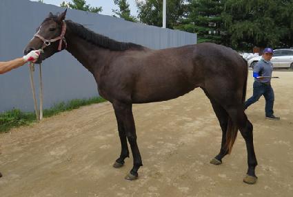 �ſ������� ����