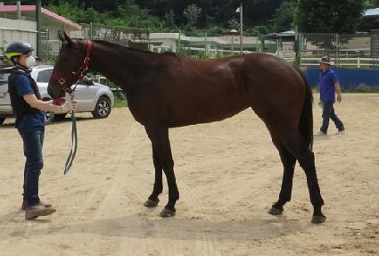 ������ ����