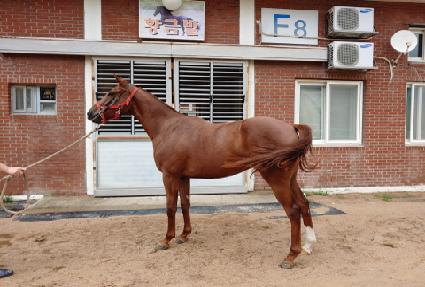 ���̴��� ����