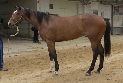 õ�տ��� ����