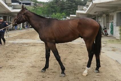 �׷����ö��� ����