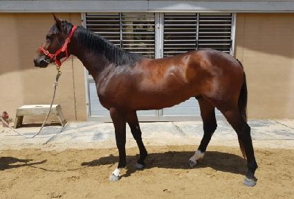 �Ŀ�����Ǯ ����