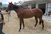 ȯ����ġ (HWANSANG TOUCH) ����