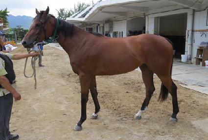 ȯ����ġ ����