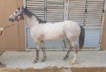 HAPPY YEOGEOL picture