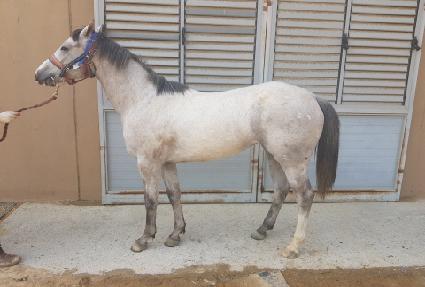 ���ǿ��� ����