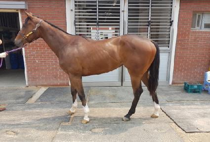 ����ٶ� ����