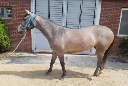 ���۰����� ����