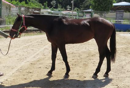 ������� ����