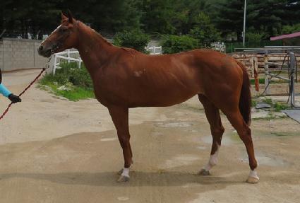 ��ö�ٸ� ����