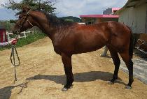 ���쿣�׿콺 (SUNWOO ENTHEUS) ����