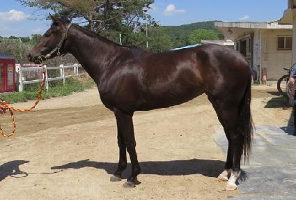 ���ι��� ����