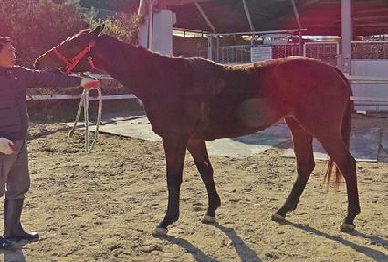 �Ź��ͽ� ����