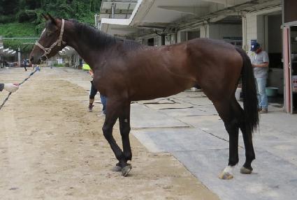 �׹���ũ��� ����