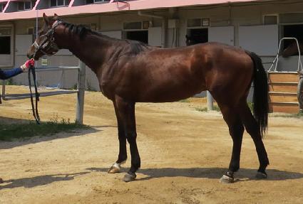 �ݾ�Űư ����