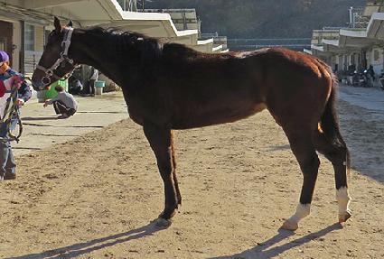 ���꽺 ����