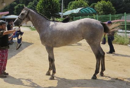 ���̽���ġ ����