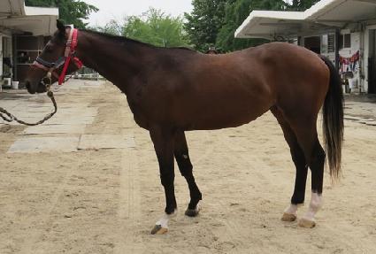 ĸƾ��� ����