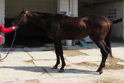 Ƽ�����̾� ����