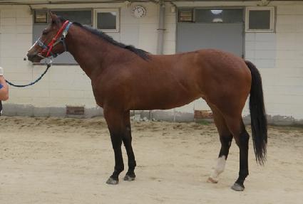 �Ӿ��� ����