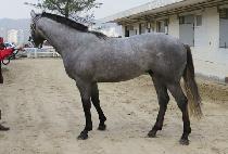 ��ī��ǻó (SKY FUTURE) ����