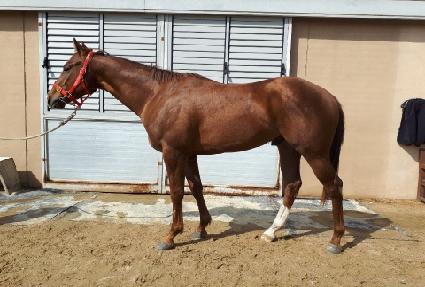 ��ũ�� ����