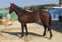 ����� (U BONG RYUNG) ����