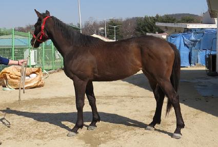 ����� ����